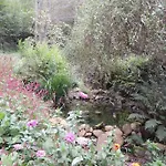 Dans Les Bois Avec Vue Sur Les Pyrenees *
