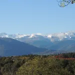Dans Les Bois Avec Vue Sur Les Pyrenees