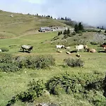 Chalet Dans Les Bois Avec Vue Sur Les Pyrenees