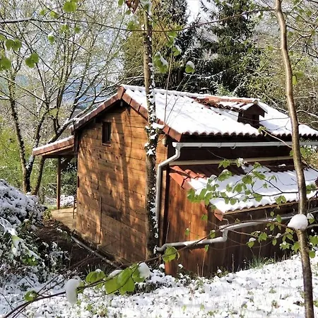 Dans Les Bois Avec Vue Sur Les Pyrénées * Saint-Laurent-de-Neste