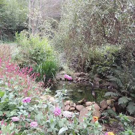 Dans Les Bois Avec Vue Sur Les Pyrenees *