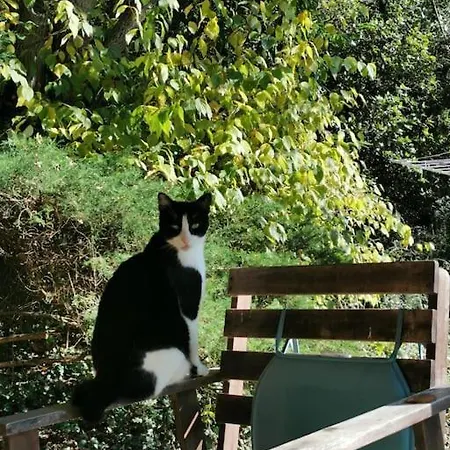 Dans Les Bois Avec Vue Sur Les Pyrenees Шале