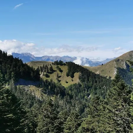 Dans Les Bois Avec Vue Sur Les Pyrenees Chalet *