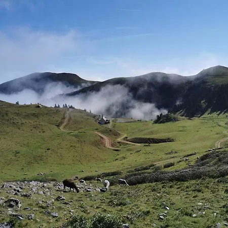 Dans Les Bois Avec Vue Sur Les Pyrenees *