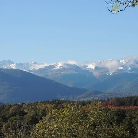 Dans Les Bois Avec Vue Sur Les Pyrenees