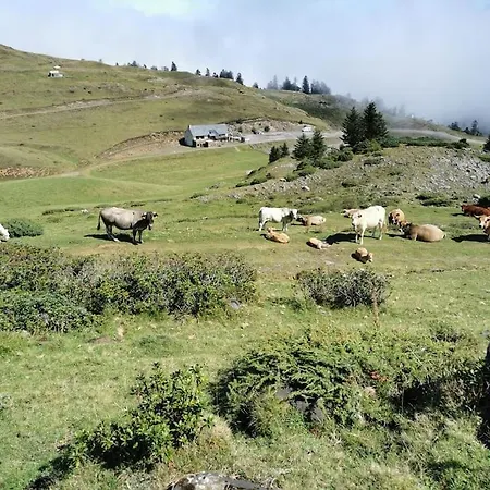 Chalet Dans Les Bois Avec Vue Sur Les Pyrenees