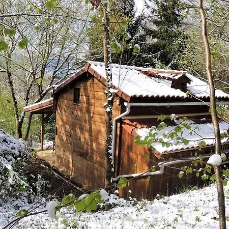 Dans Les Bois Avec Vue Sur Les Pyrenees * Saint-Laurent-de-Neste